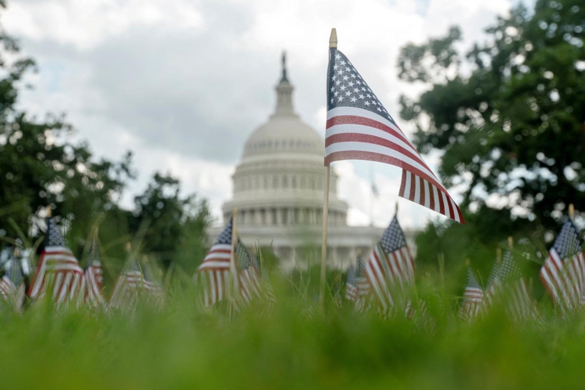 What Role Should the US Play in Foreign Conflicts