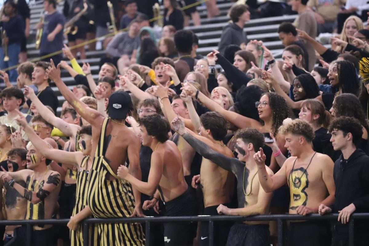 The crowd going wild for a great play