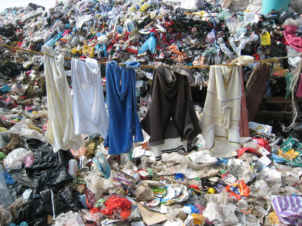 Fast fashion: convenient or harmful